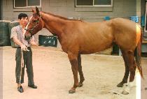 ������ (BAK JIN KAM) ����