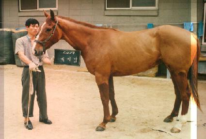 ������ ����