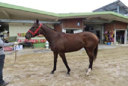 ���ÿ��׸��� ����