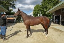 �ε�������Ʈ (ROAD TO PERFECT) ����