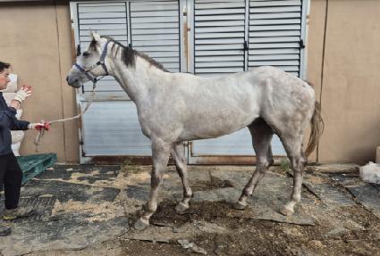 ��Ŀ������ ����