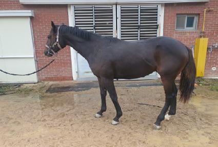 ���������� ����