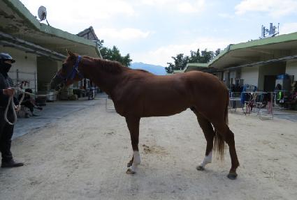 ���ø��� ����