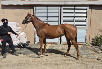 ����Ǯ��� ����