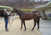 ��Ƽ�� (STEEPLE) ����