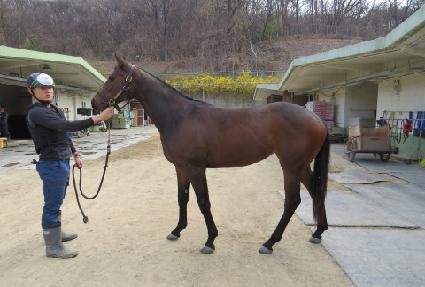 ��Ƽ�� ����