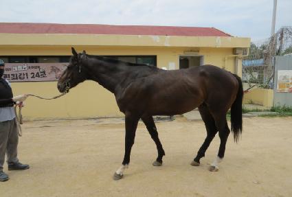 �����˶�� ����