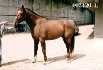 ���긶�� (SEU SAN MA RU) ����