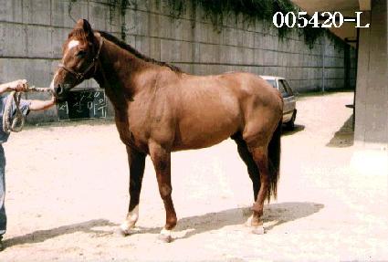 ���긶�� ����