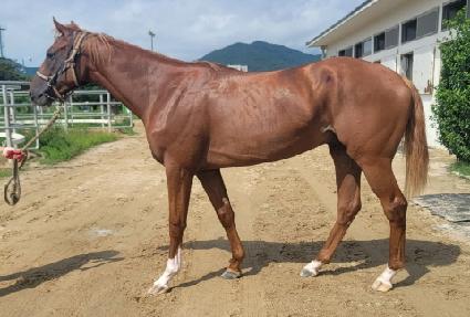 ����ŷ���� ����