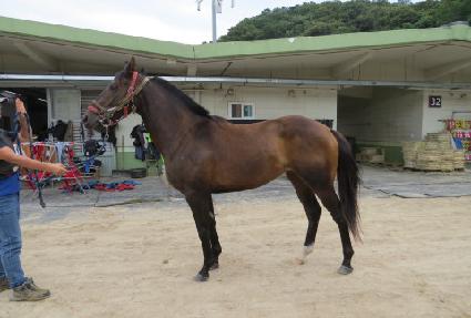 �������� ����