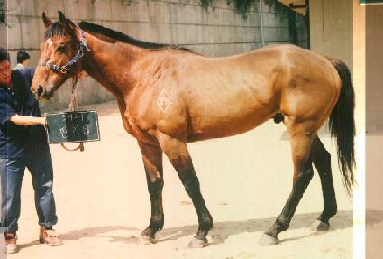 �ǰ��� ����