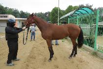 �������� (LOVING PURPLE) ����