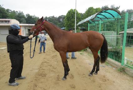 �������� ����