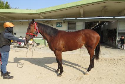 �̽�ƽ�۷� ����