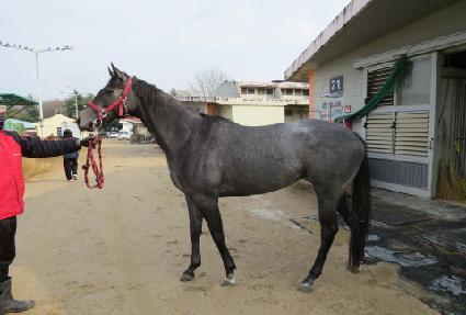 �������ĳ�� ����