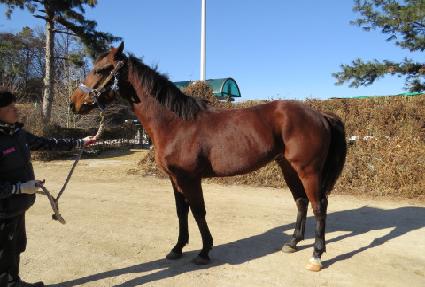 ���ֹμ� ����