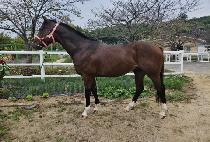 ���ƽý����� (OASIS YEONGUNG) ����