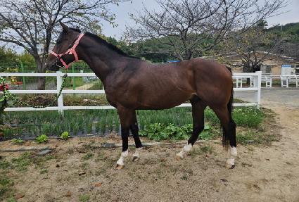 ���ƽý����� ����