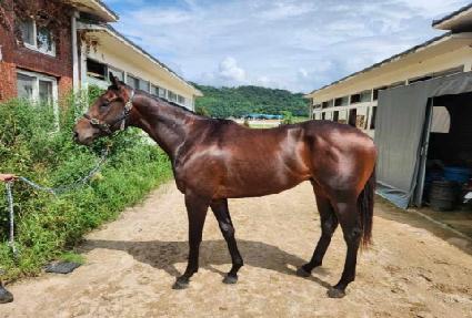 ��� ����