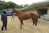 ���Ǿ����� (SEONGSIL ICON) ����