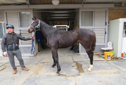 �������۷θ� ����