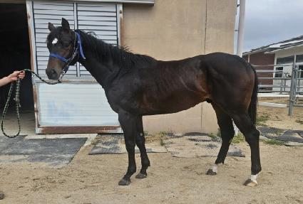 ��Ʈ��� ����