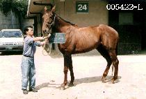 �������� (JAK EUN GEU IN) ����