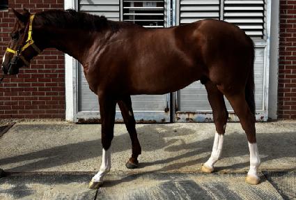 ������ ����