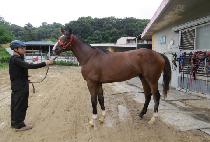 ����Ʈ������ (BEST FREEDOM) ����