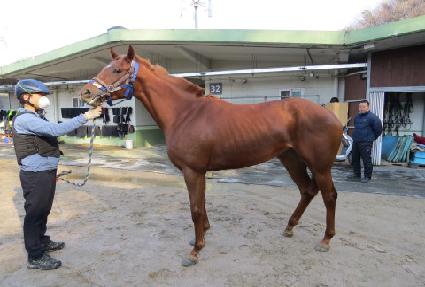 ������� ����