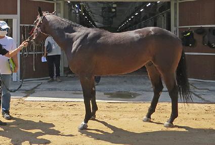 ��������� ����