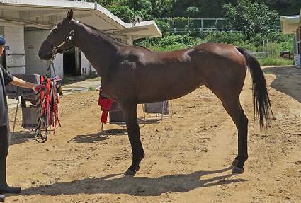 ���̽�ġŸ ����