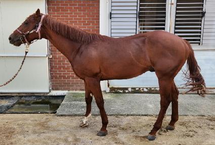 ���̽���� ����