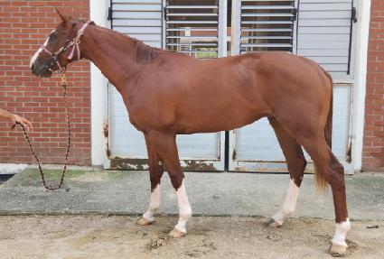 ���̽����� ����