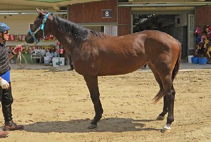 ���̽���� ����