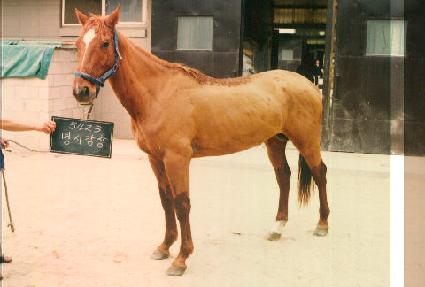 ���ð��� ����