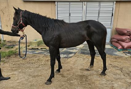 �ְ��÷��� ����