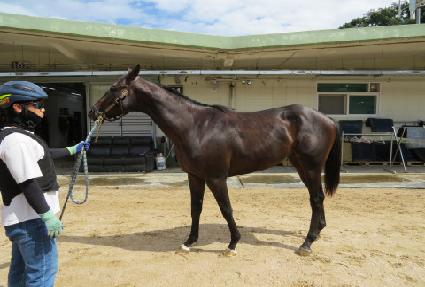 �۷ι��ϳ� ����