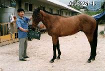 �ð����� (SI GONG AB CHUK) ����