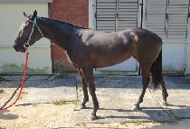 �¾��ǿ��� (TAEYANGUIYEOLJEONG) ����