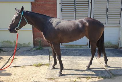 �¾��ǿ��� ����