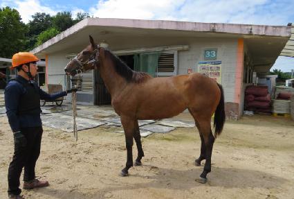 �������̾� ����