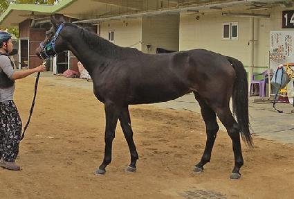 ���Ž��͸� ����