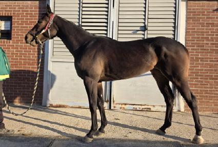 �н����� ����