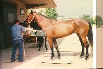 ���� (SEUN YOOL) ����