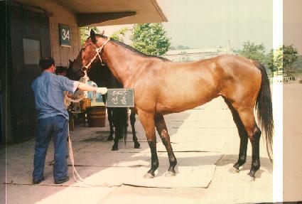 ���� ����