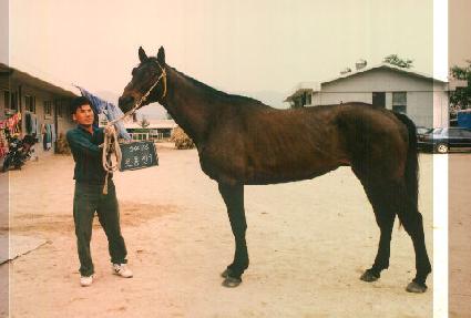 �ʵ�ģ�� ����