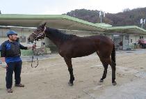 �����ӽ�Ÿ (PRIME STAR) ����