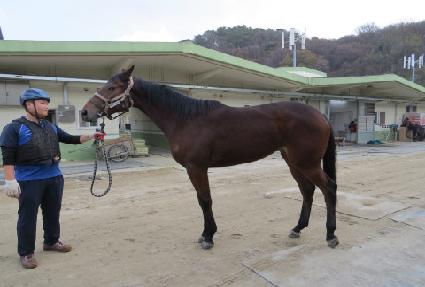 �����ӽ�Ÿ ����